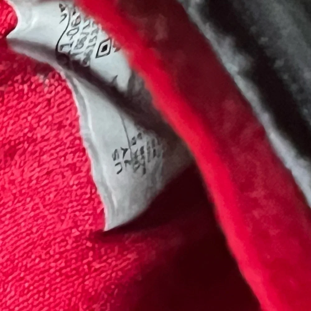 Jordan 37 PF Raptors size Y7
